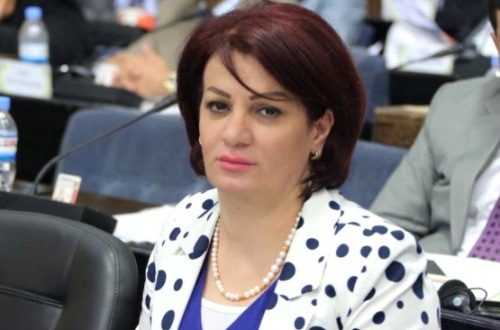 نائبة كردية : نستغرب من تأييد الديمقراطي لقتال حزب العمال بسبب مصالحهم النفطية