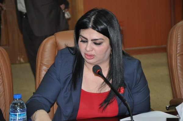 الخدمات النيابية تدعو إلى إنشاء شركة عراقية للملاحة الجوية