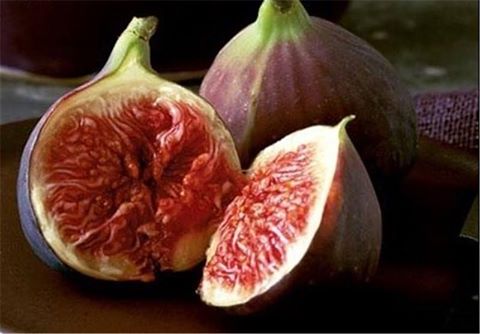 تعرف على 5 من أهم فوائد التين!