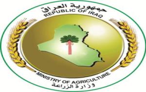 وزارة الزراعة : منع استيراد الاسماك المبردة لوجود وفرة في الانتاج