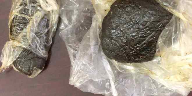 الكمارك تحبط محاولة لتهريب (٥٠) غرام حشيشة في منفذالشيب