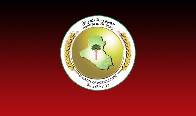 الزراعة : المباشرة بتوزيع الدفعة الأخيرة من مستحقات الفلاحين لمحصولي الحنطة والشعير