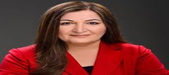 فيان صبري : زيارة الكاظمي لواشنطن.. ضرورية لتعزيز التعاون الامني والصحي بشكل خاص