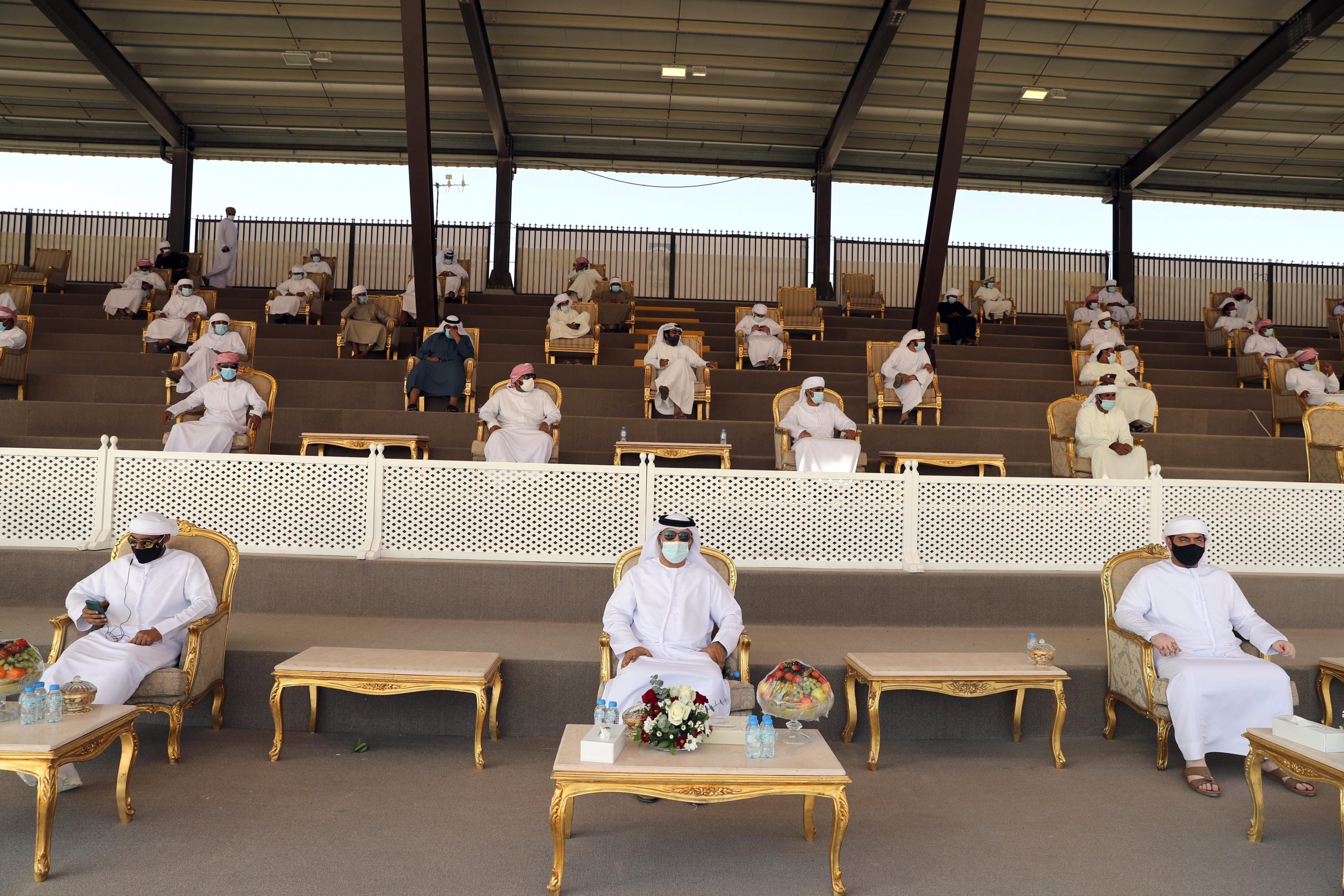 مهرجان الظفرة 14 يعلن نتائج أشواط المفاريد – محليات في مزاينة الإبل