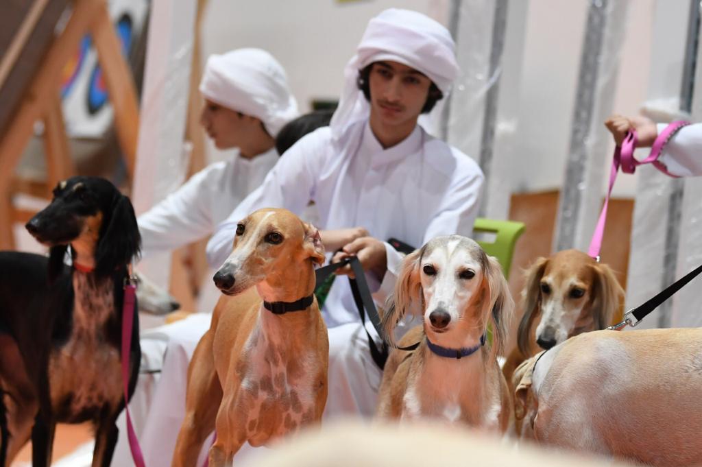 برعاية سمو الشيخ حمدان بن زايد آل نهيان، معرض أبوظبي الدولي للصيد والفروسية يُعلن عن مُسابقات بحثية، علمية، أدبية، وفنية
