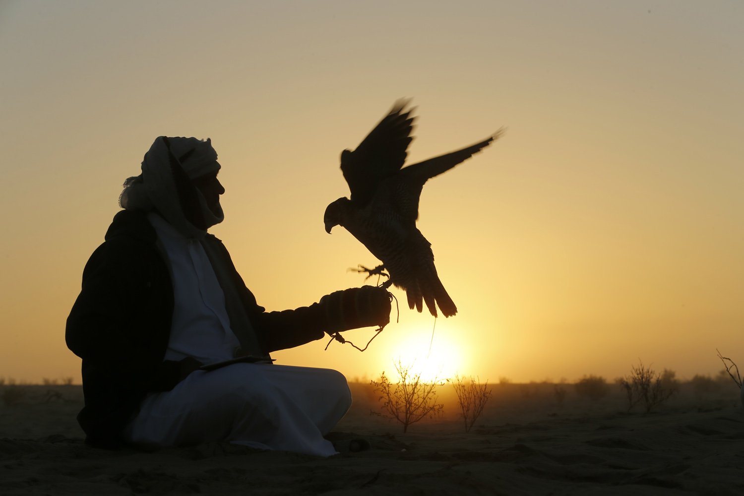 نهاية أغسطس، آخر موعد لتلقّي الترشيحات في مُسابقات معرض أبوظبي الدولي للصيد