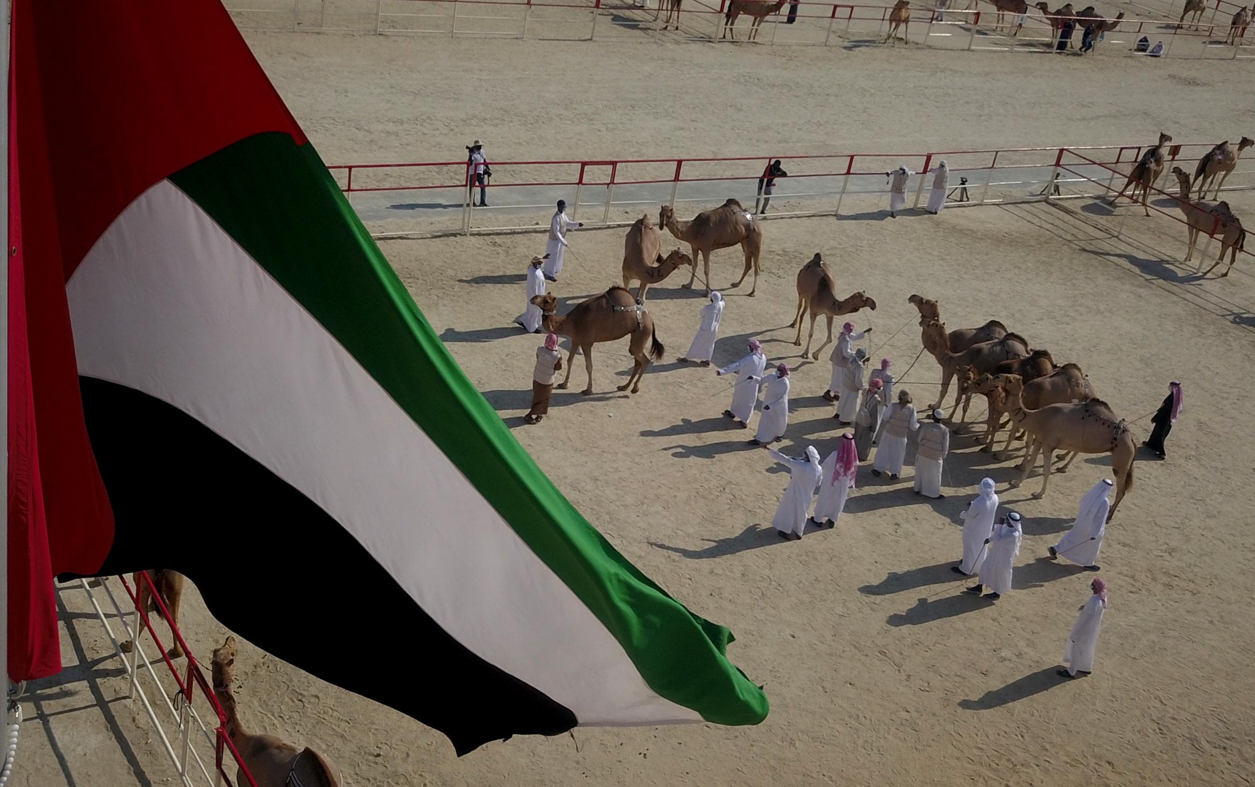جائزة “بيرق الإمارات” من مهرجان الظفرة بقيمة ستة ملايين درهم