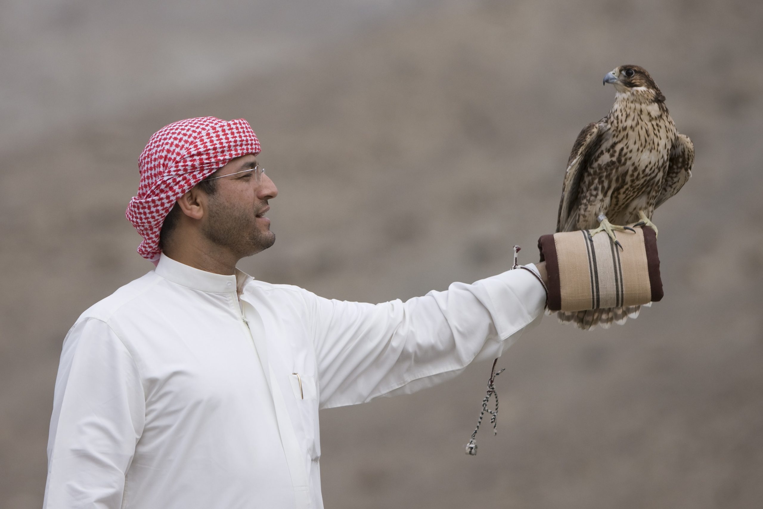 إعادة انتخاب معالي ماجد علي المنصوري، بالإجماع، رئيساً للاتحاد العالمي للصقارة والمحافظة على الطيور الجارحة