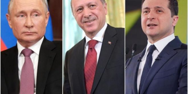 إردوغان يبحث مع بوتين وزيلينسكي اتفاق تصدير الحبوب