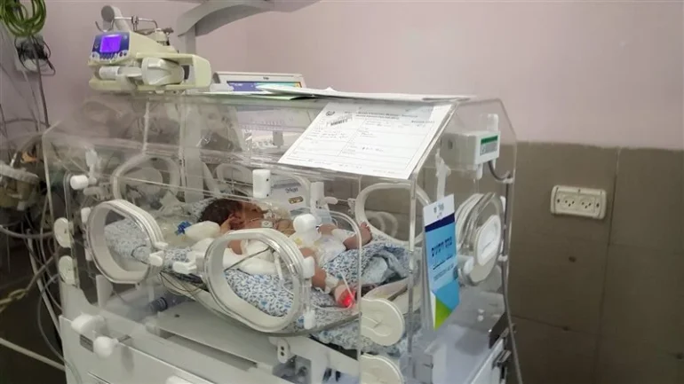ولادة حيوان برأس إنسان في تايلاند، وبيطريون يكشفون عن مفاجأة مرعبة (صورة)