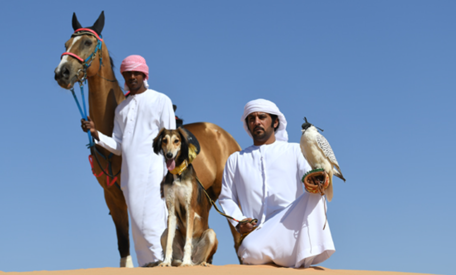 مركز السلوقي العربي بأبوظبي .. خمسة وعشرون عاماً في الحفاظ على إرث رفيق الصقّار